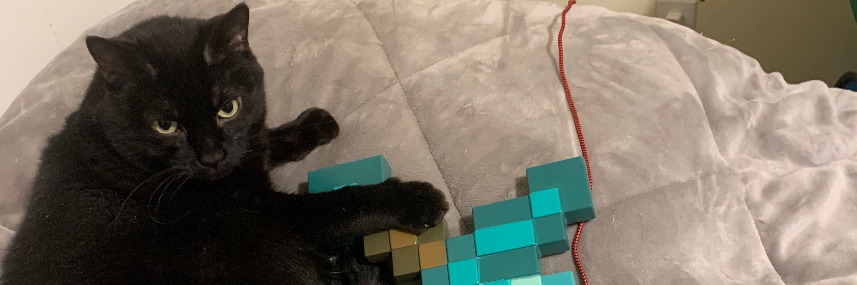 Blackcatbeest