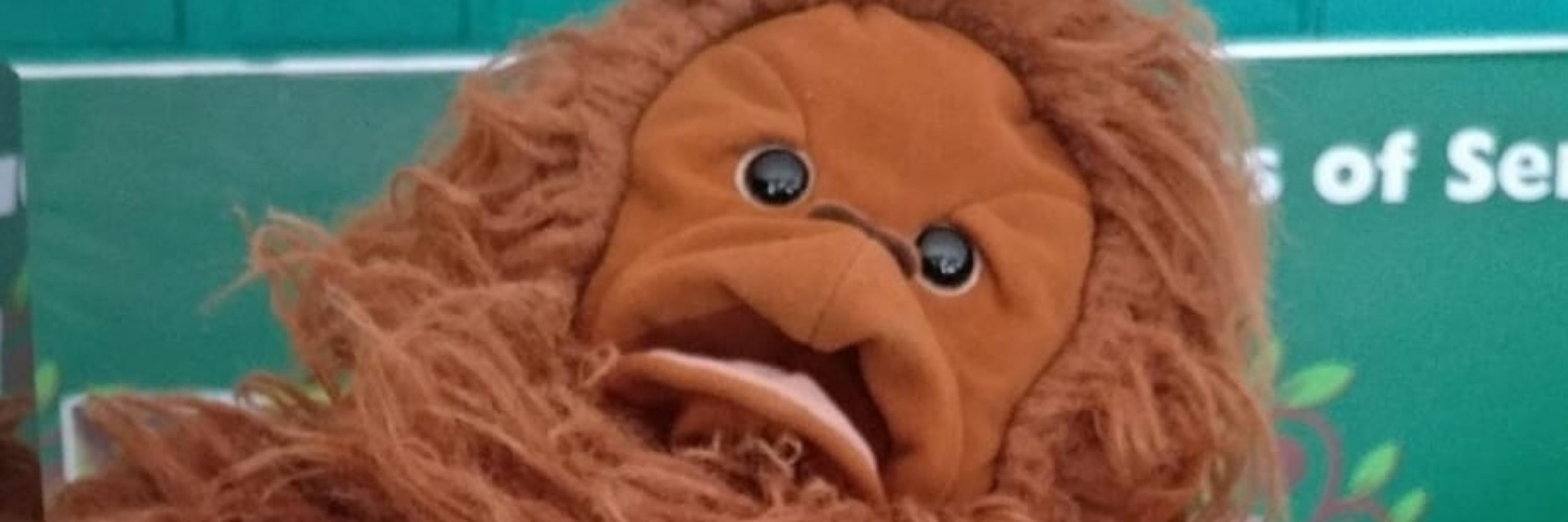 alan