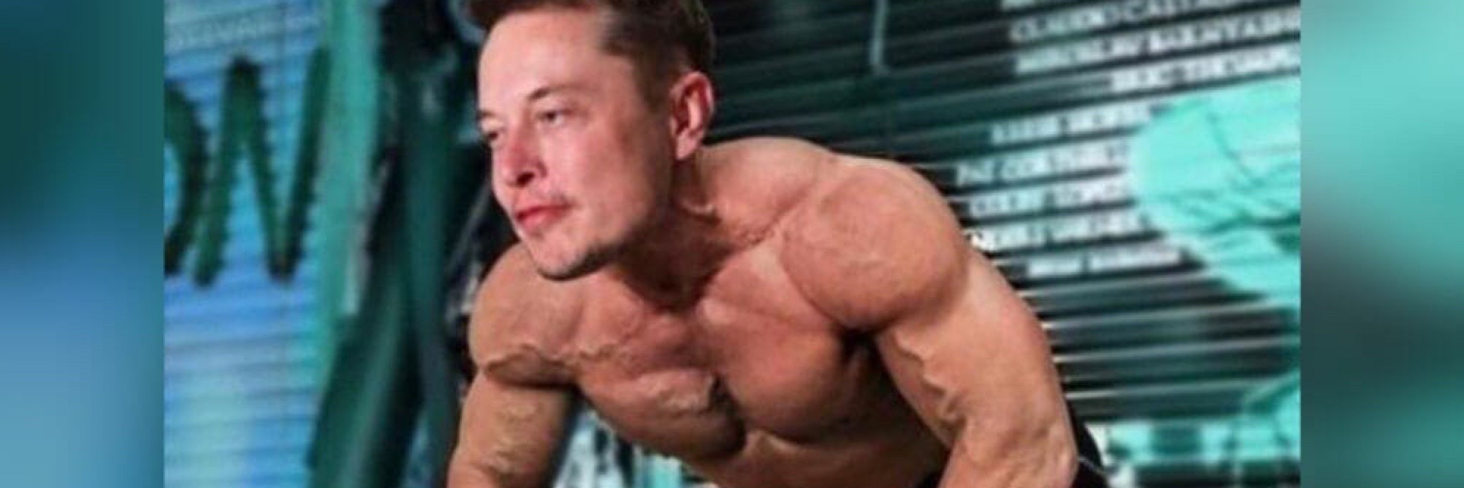 Elon Muscles