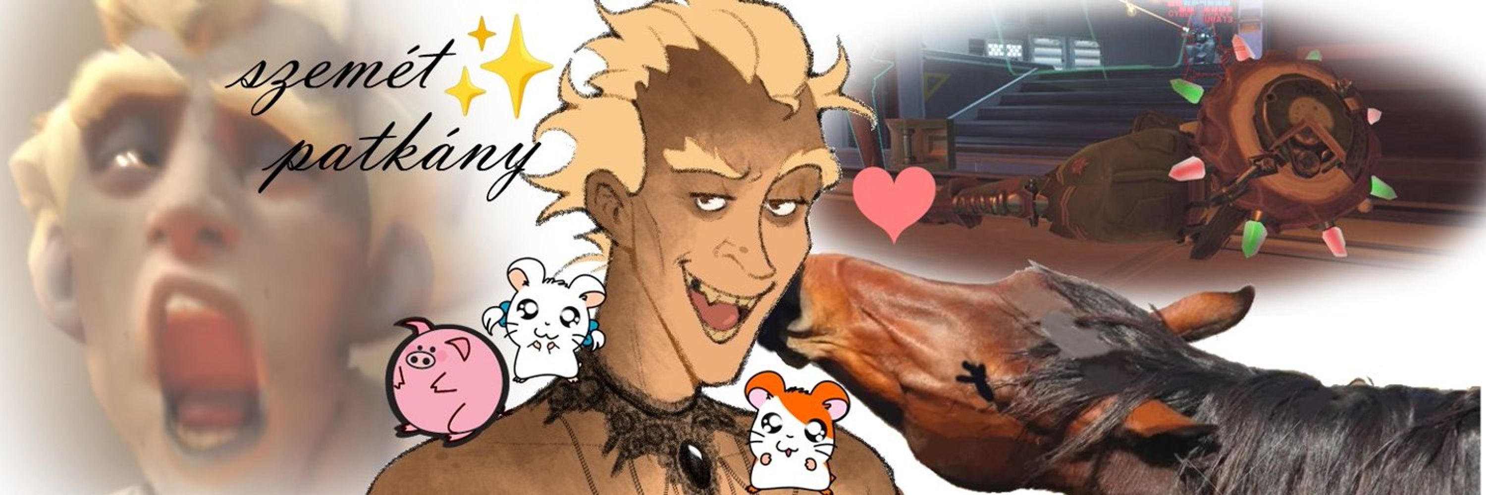 Jeff the horse
