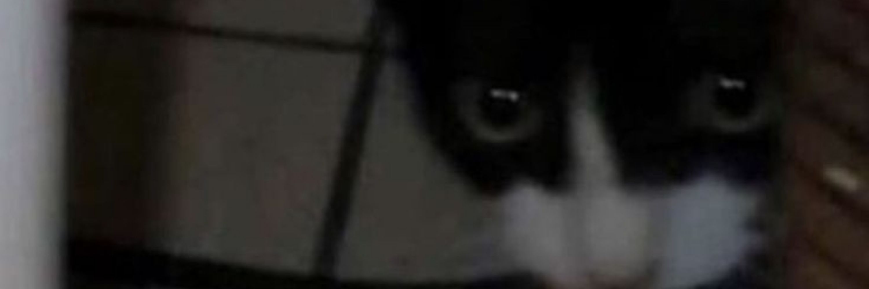 eEazy