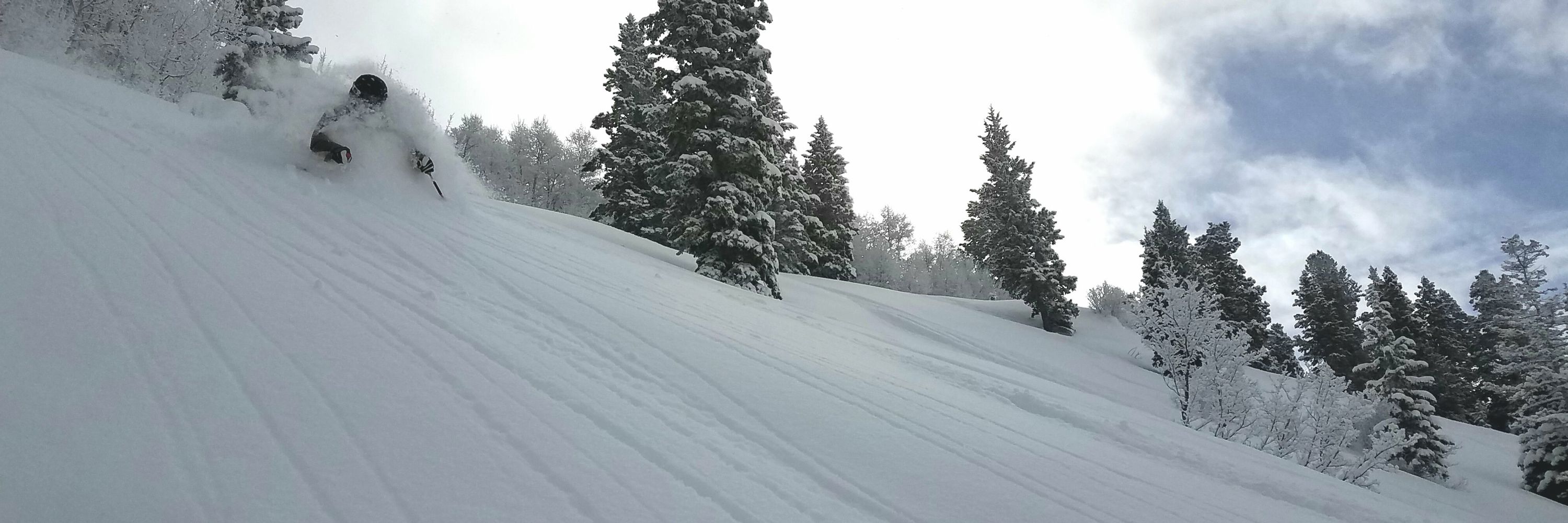 Utah Daily Snow