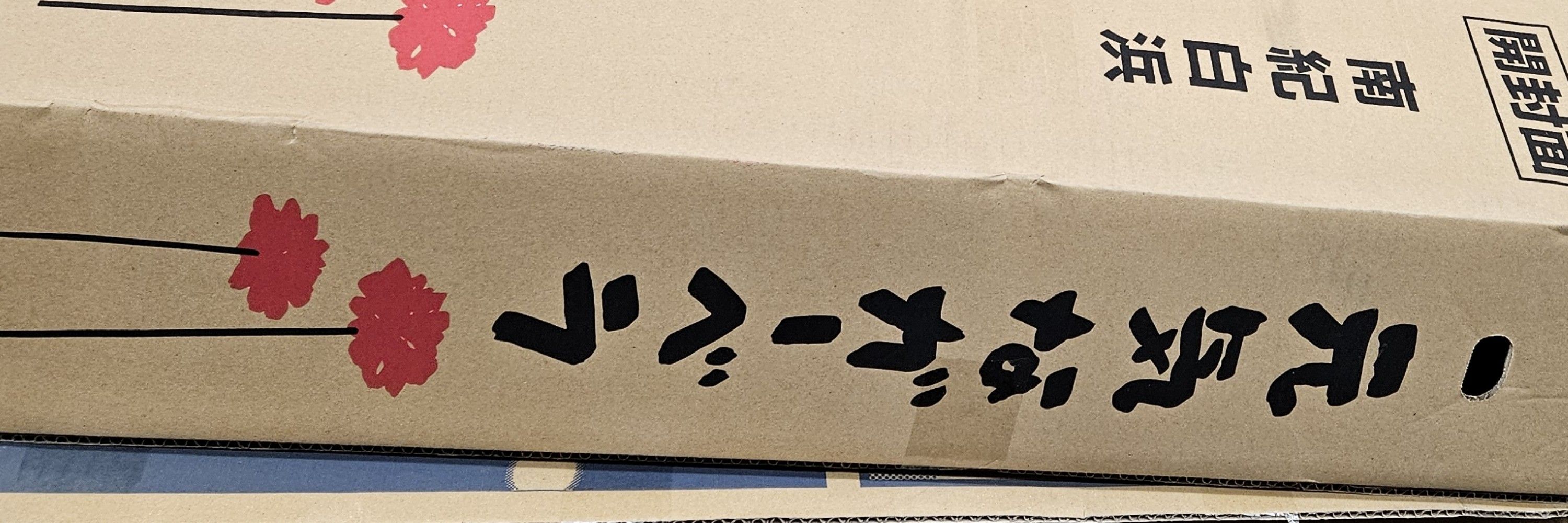 ふじの