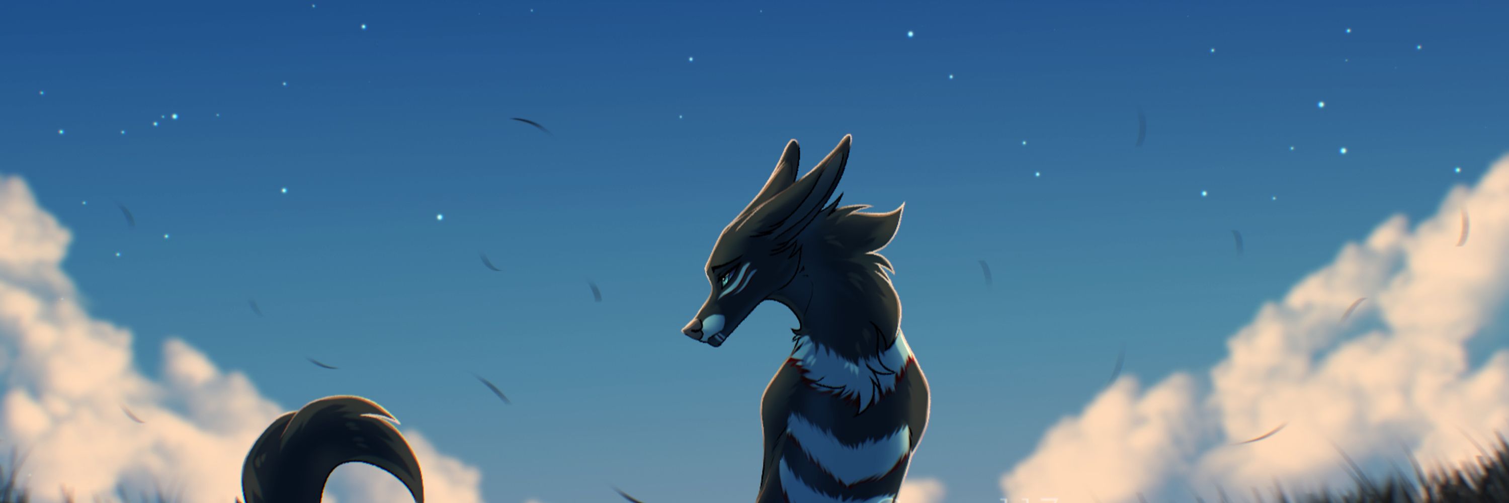 Comet🌌