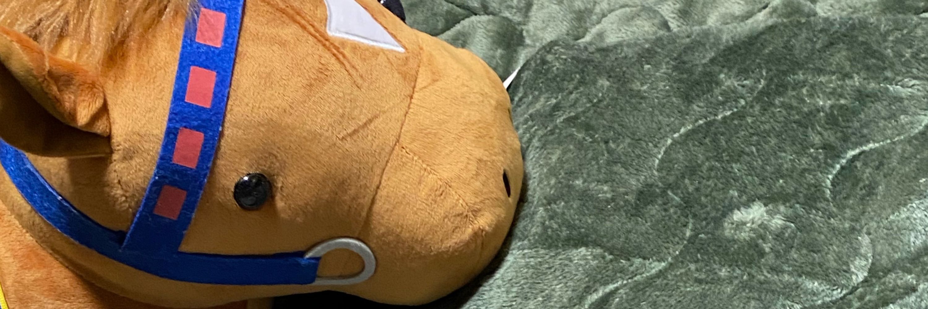 ほしこ。