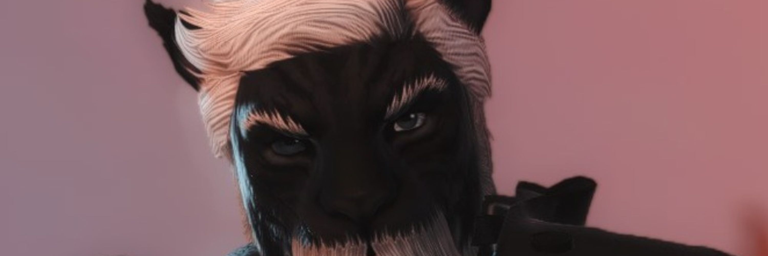 Dmitri The Fat Cat Dad