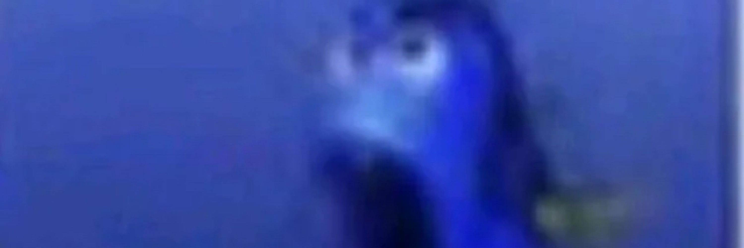 möl