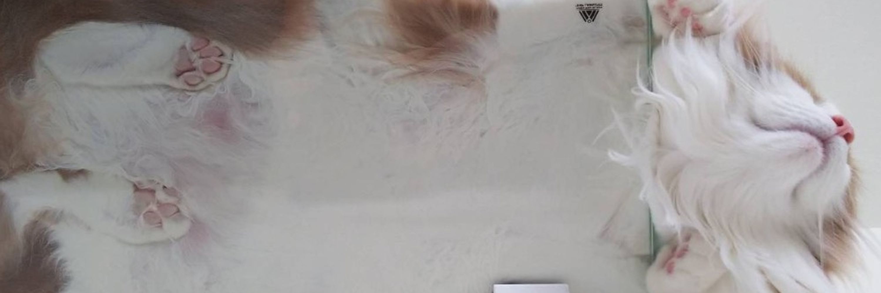 ぱびこ