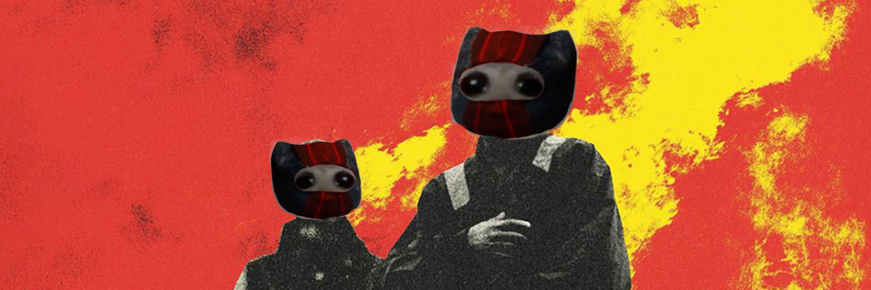 clanky hammie