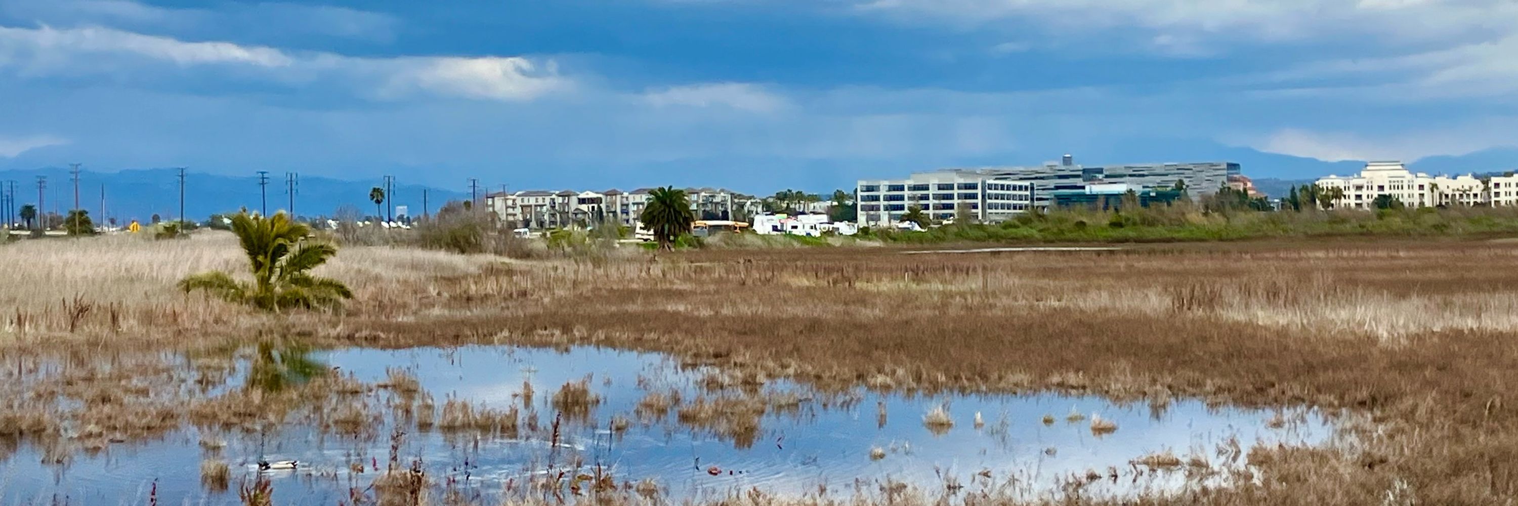 Ballona Wetlands