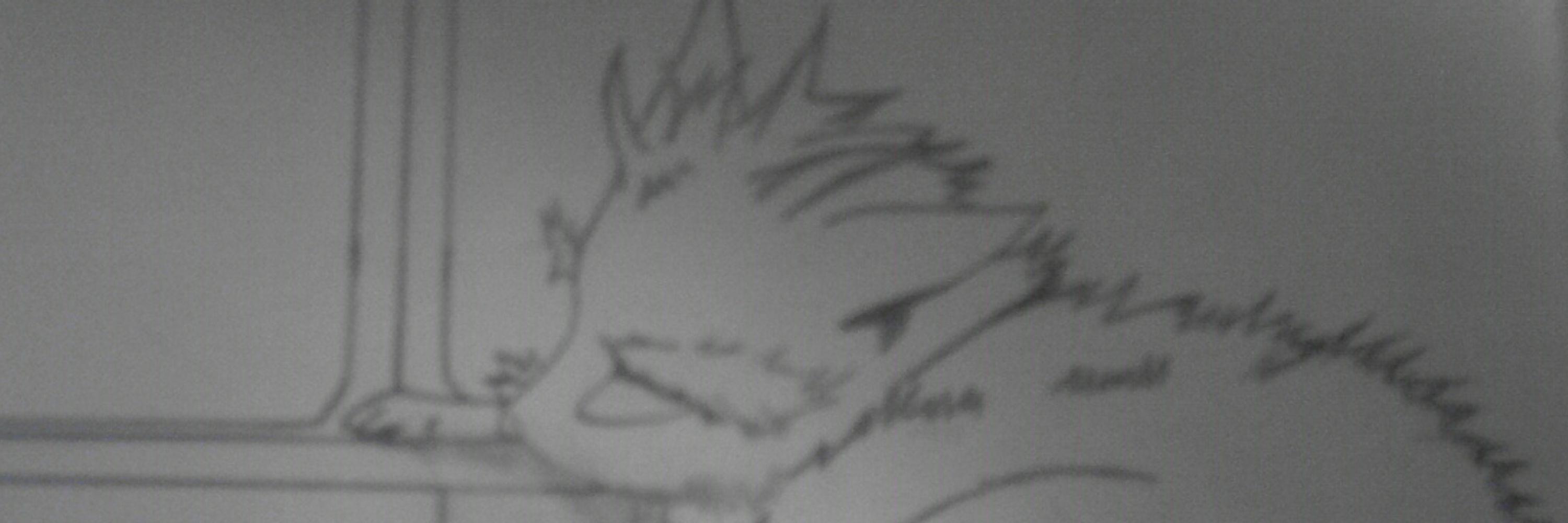 Silvie