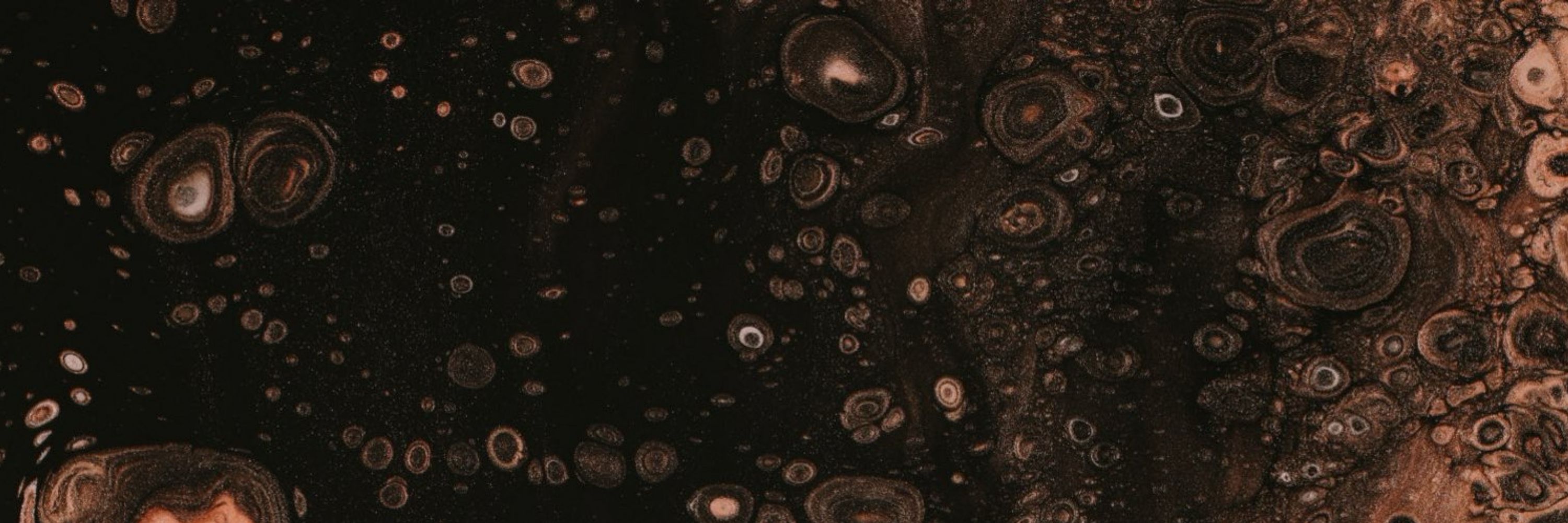 砂本