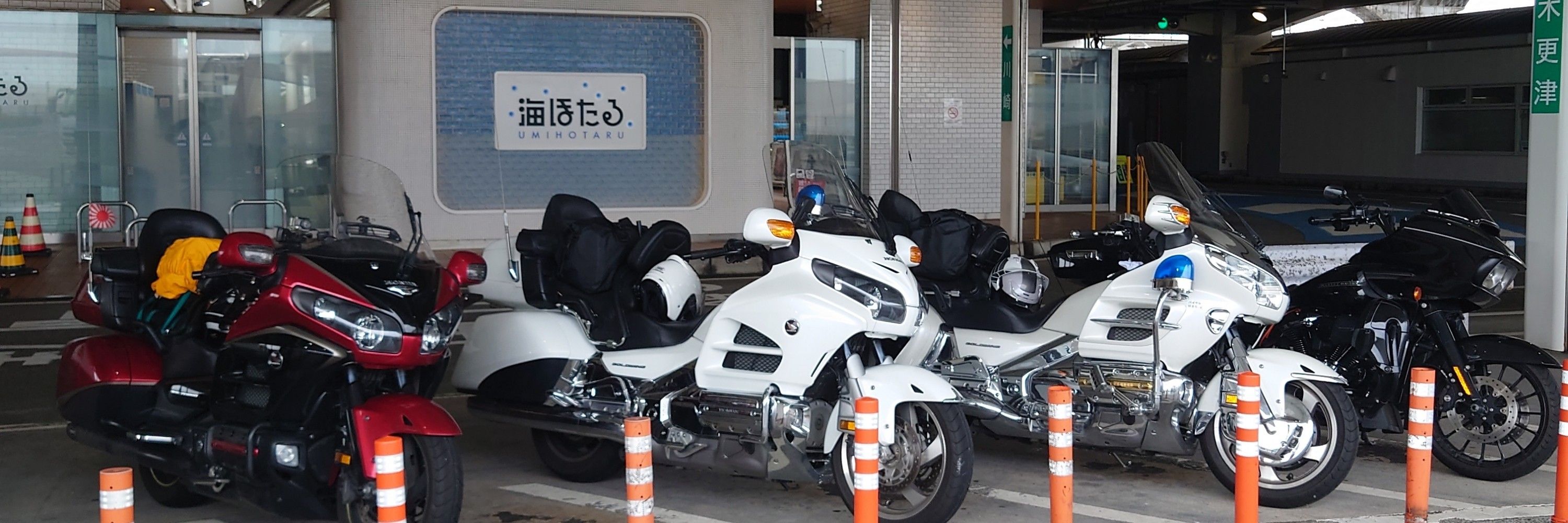 うなぎいぬ 🇯🇵🗾