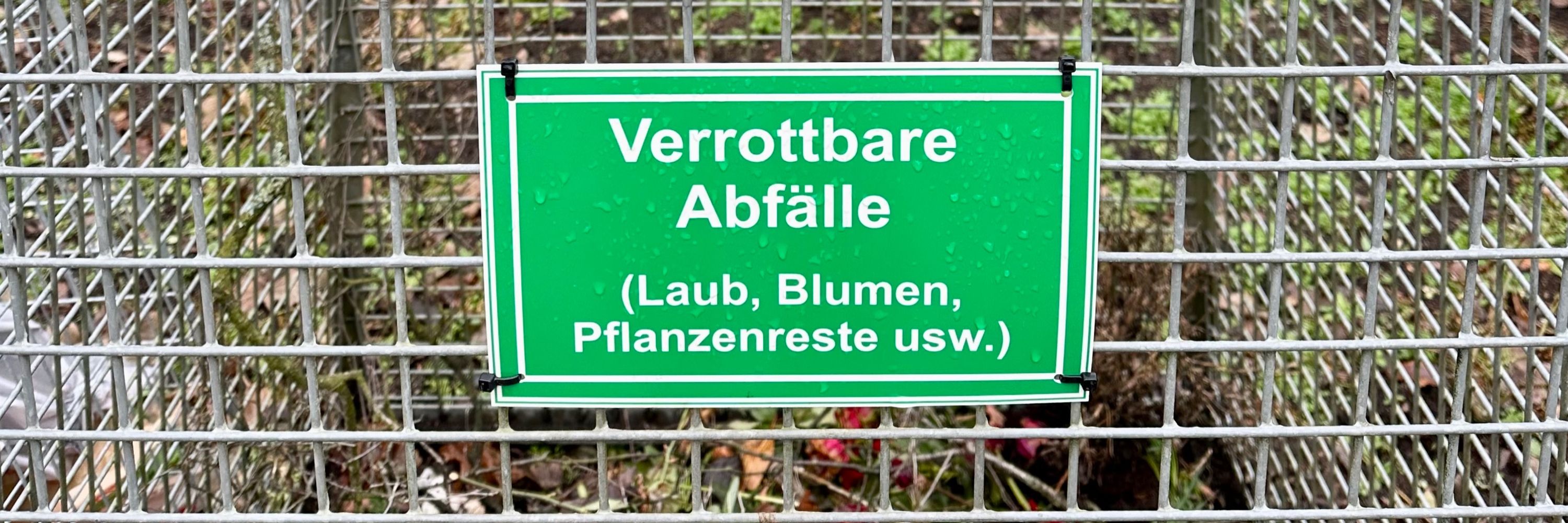 detlev brinkschulte