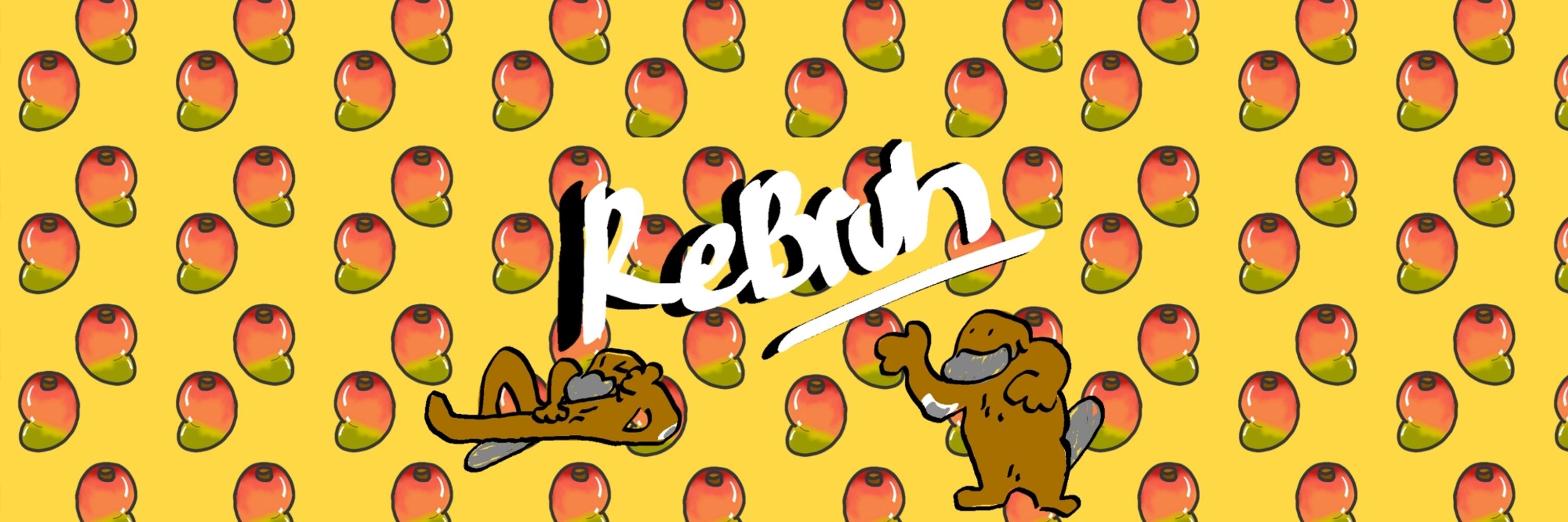 Rebruh