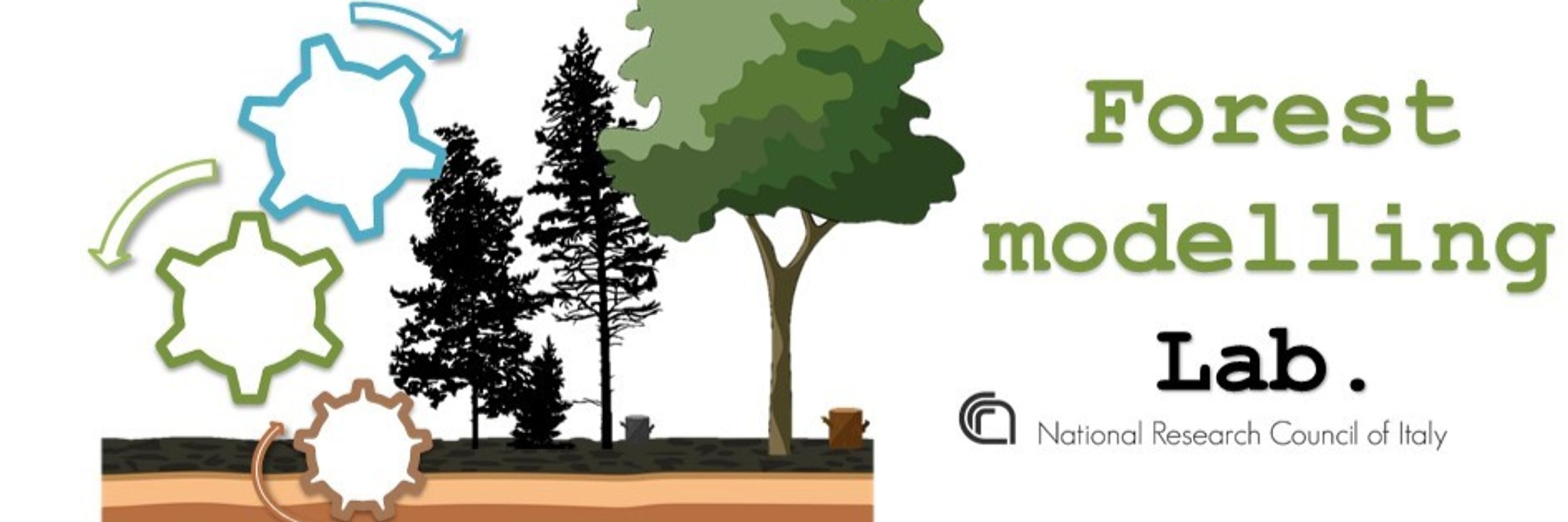 Forest Modelling Laboratory