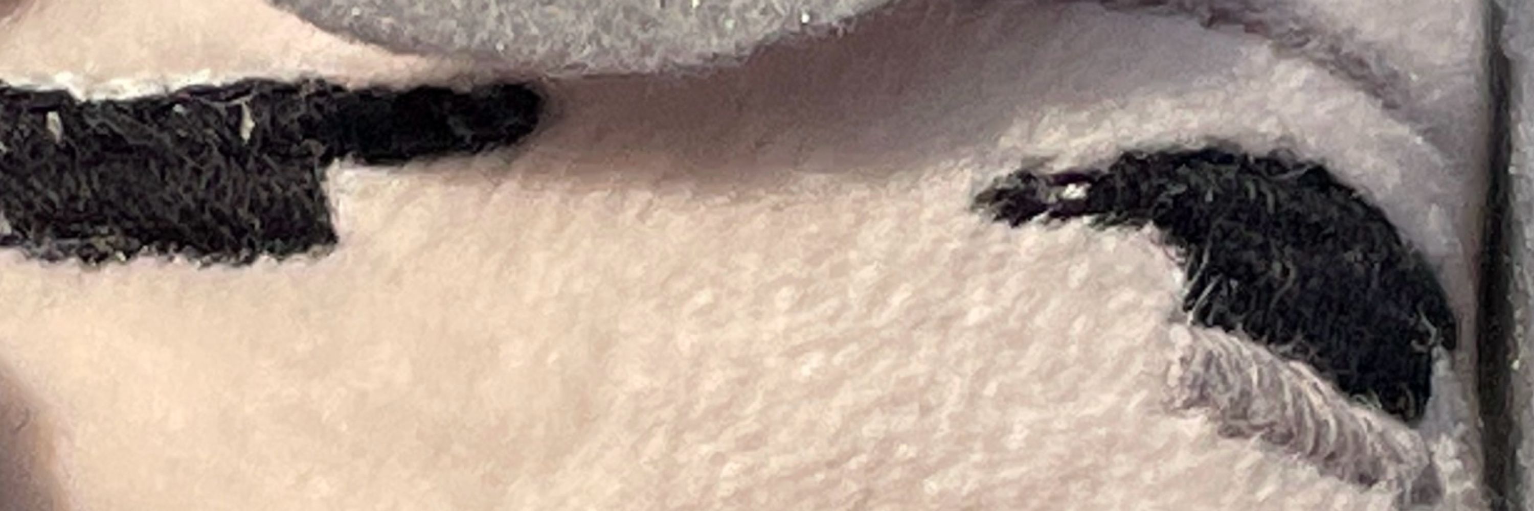 ハロルド🐶
