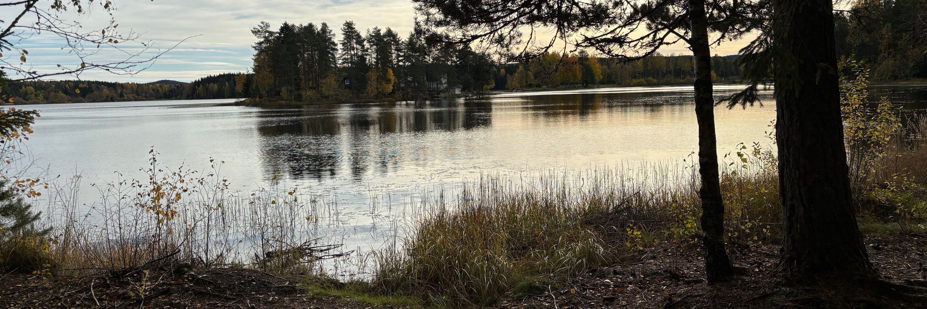 Lilly Vik