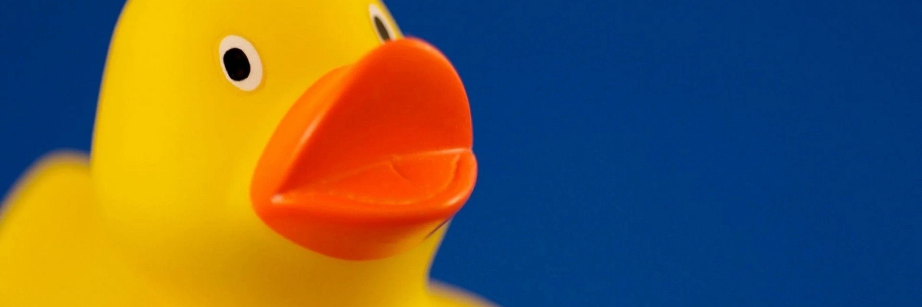 Murducky