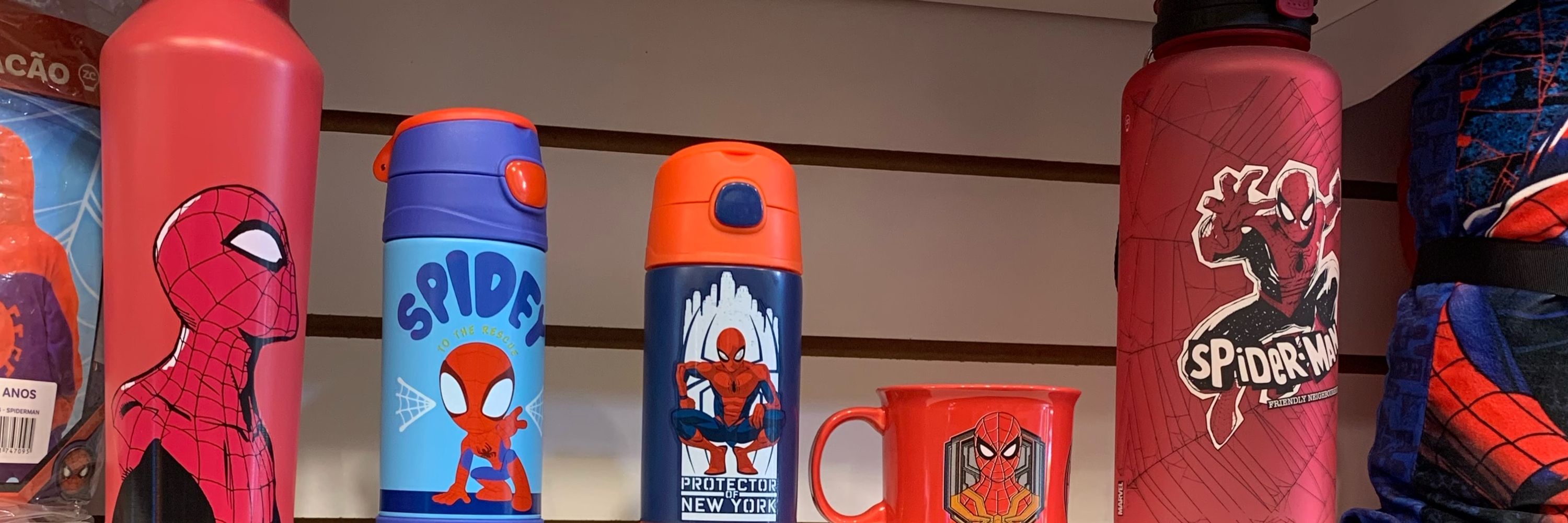 🕷️