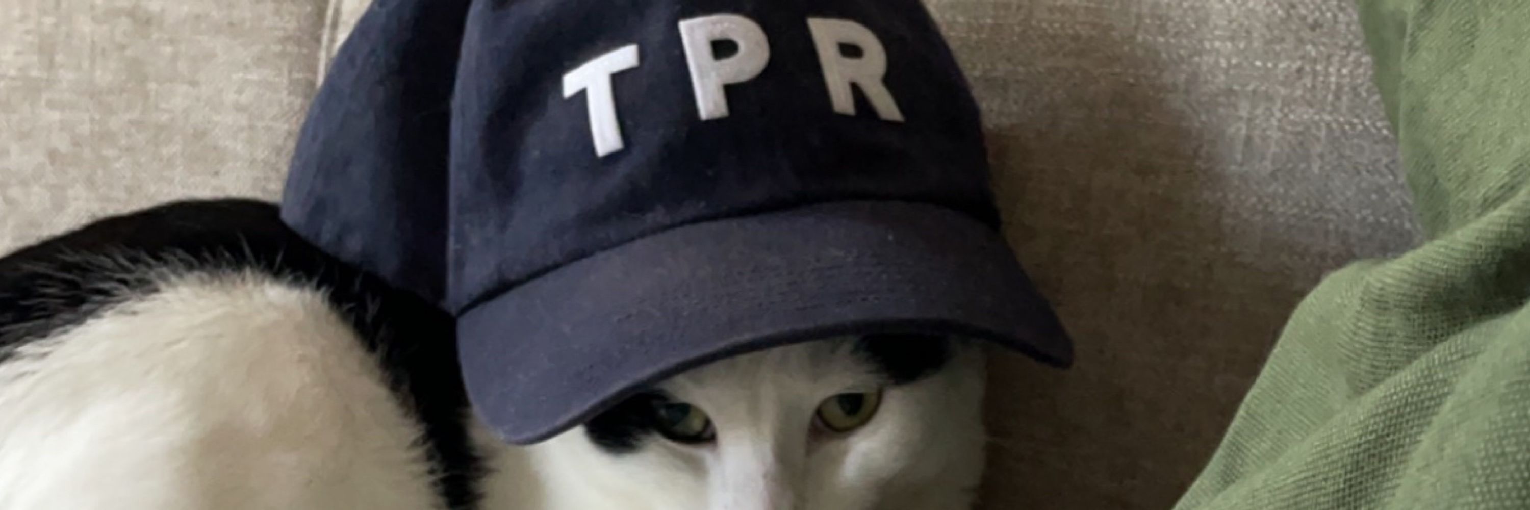 Josh Peck - Texas Public Radio