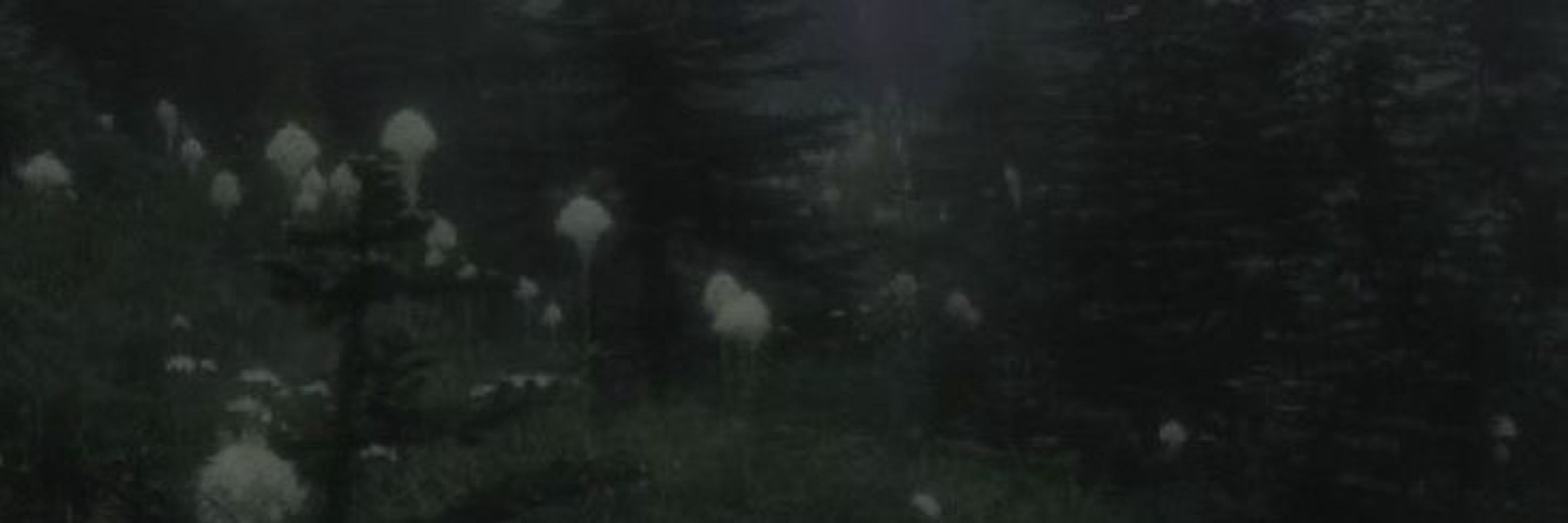 ꧁ 𝖀𝖓𝖑𝖚𝖐𝖎 ꧂
