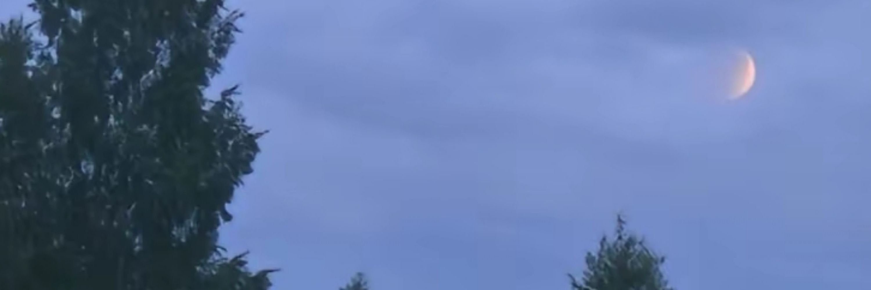 ࣪ ִֶָ☾.m0ss🦝