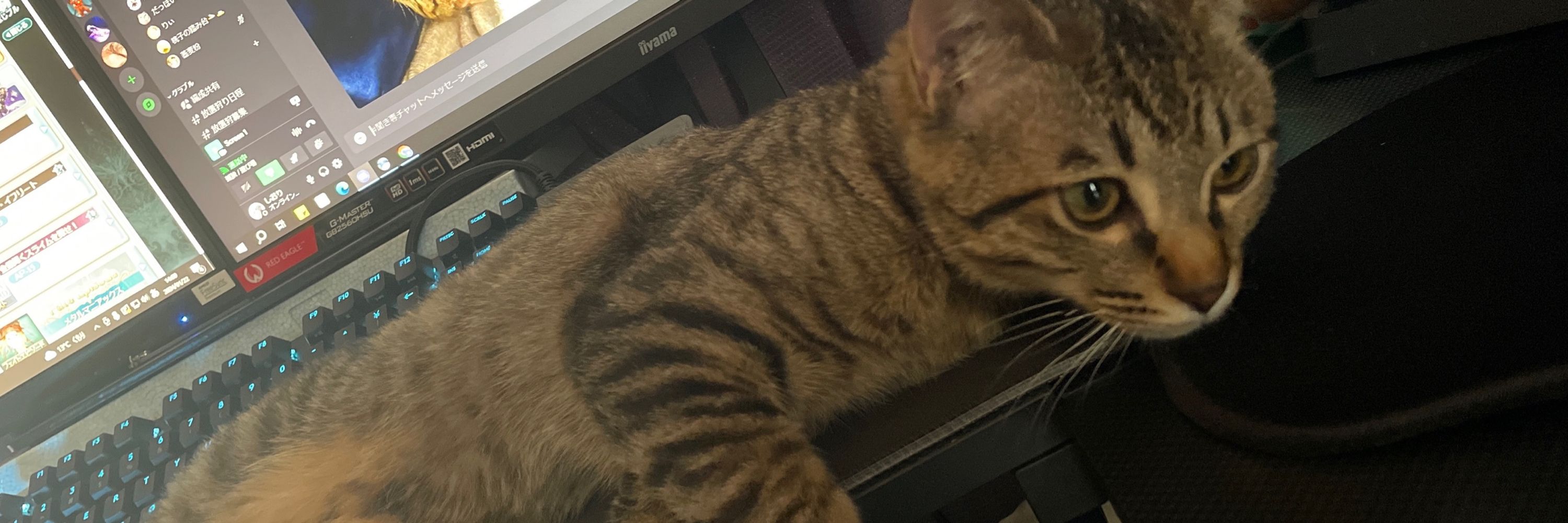 しおり
