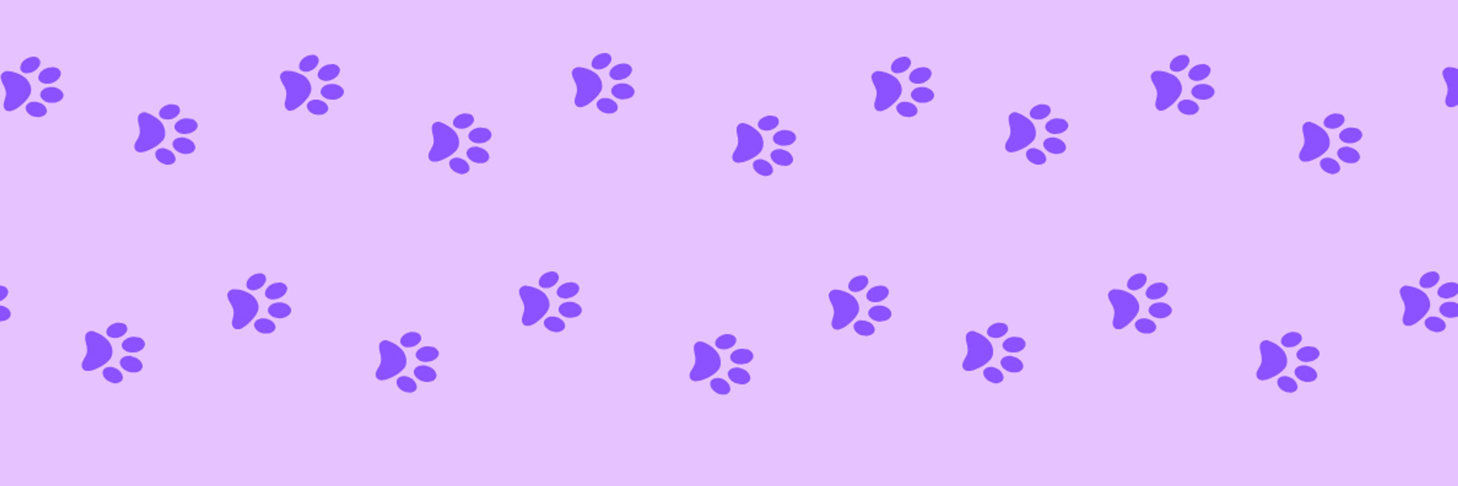 ChefCat.io