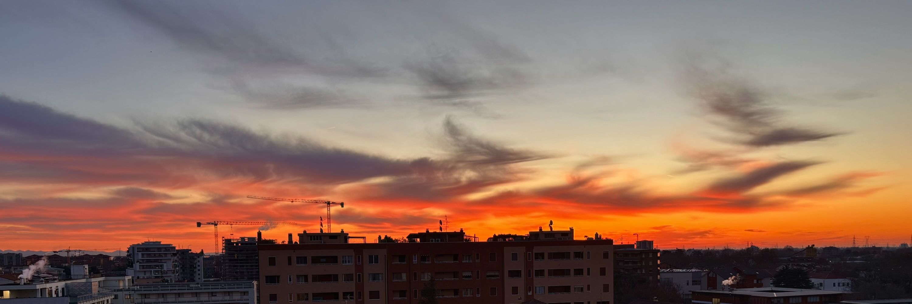Mauro Mgn