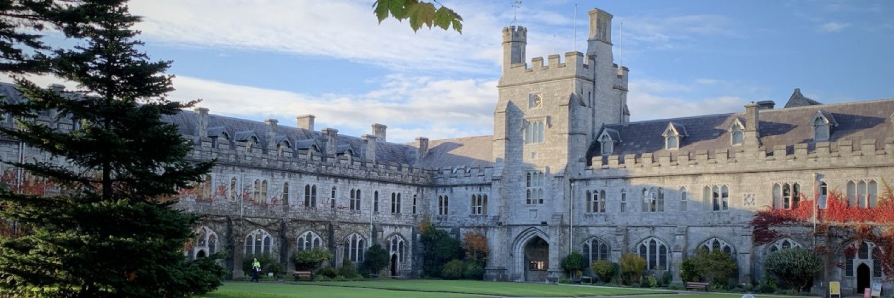 Occupational Science & Occupational Therapy @UCC