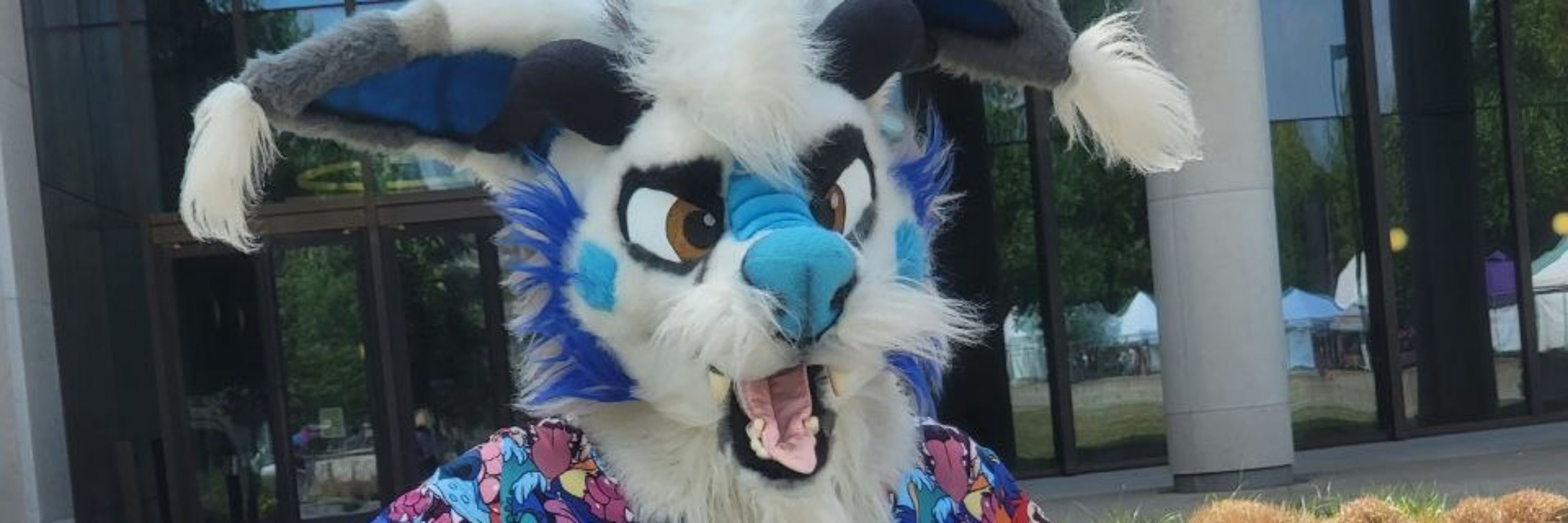 Resythefolf 