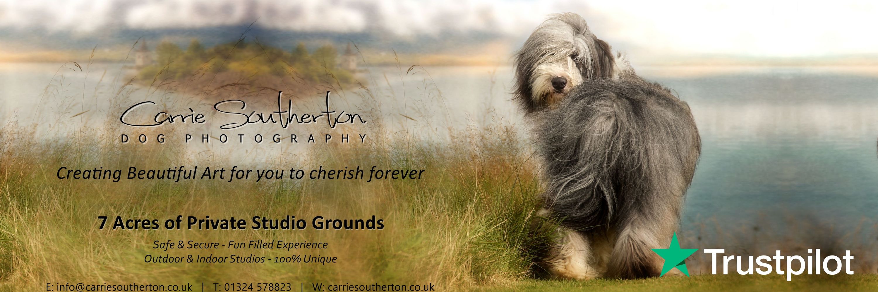 Carrie Southerton Dog Photography