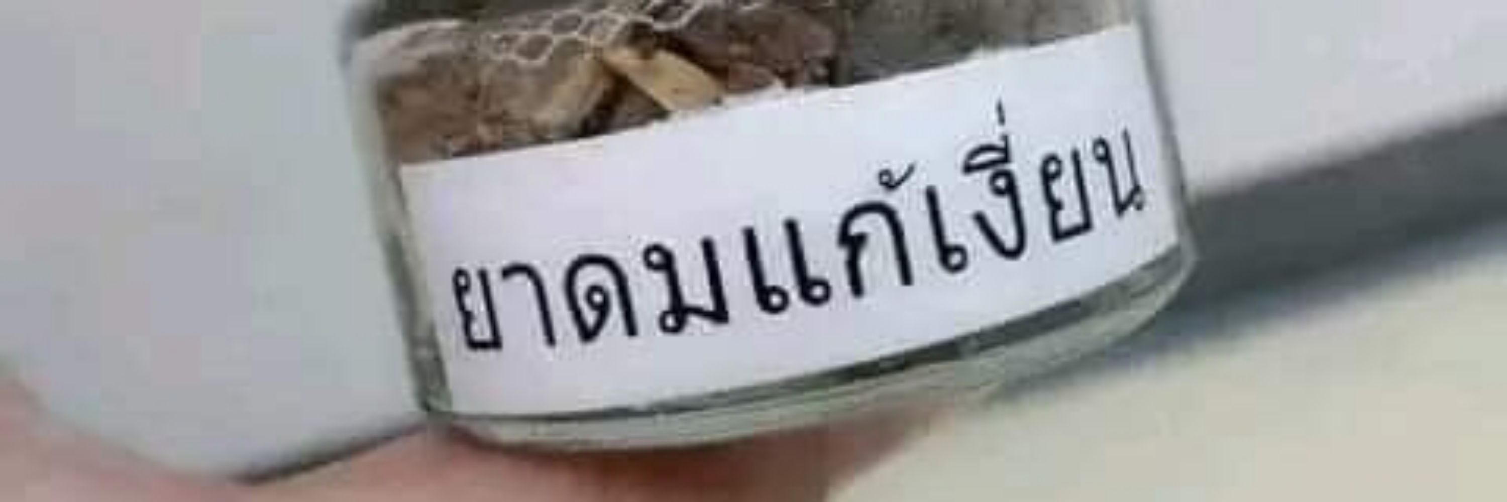 อาจารย์ธีโอน่า อ้าขารับลม