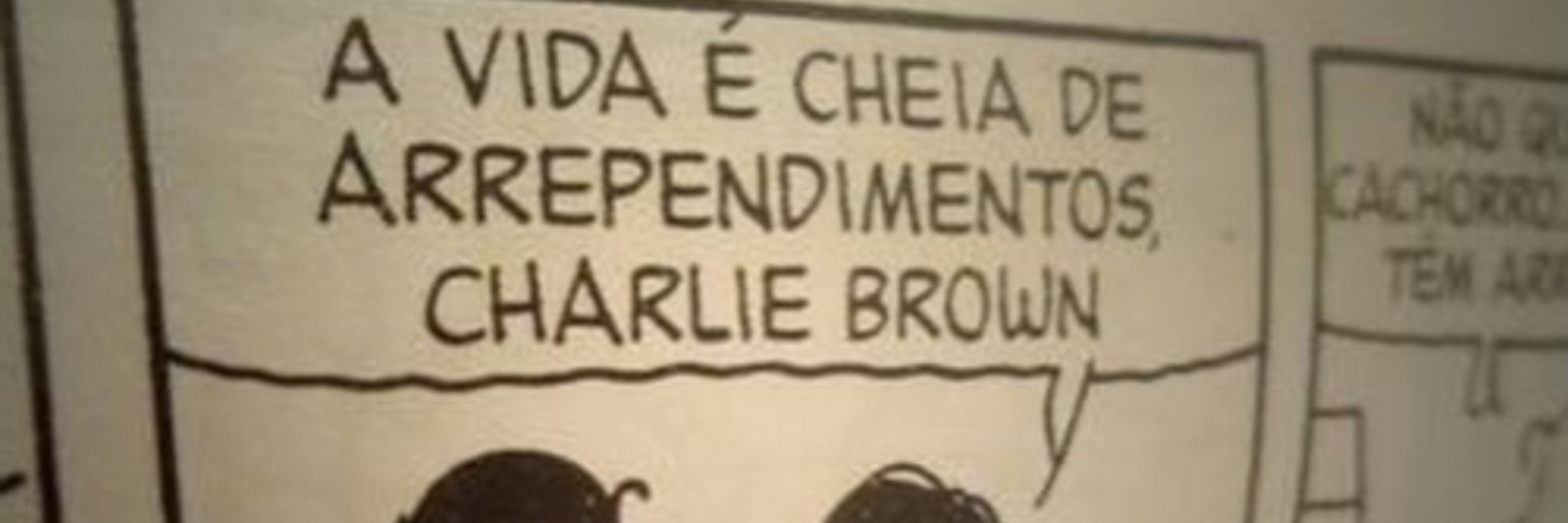 Bia Fontes 🙃