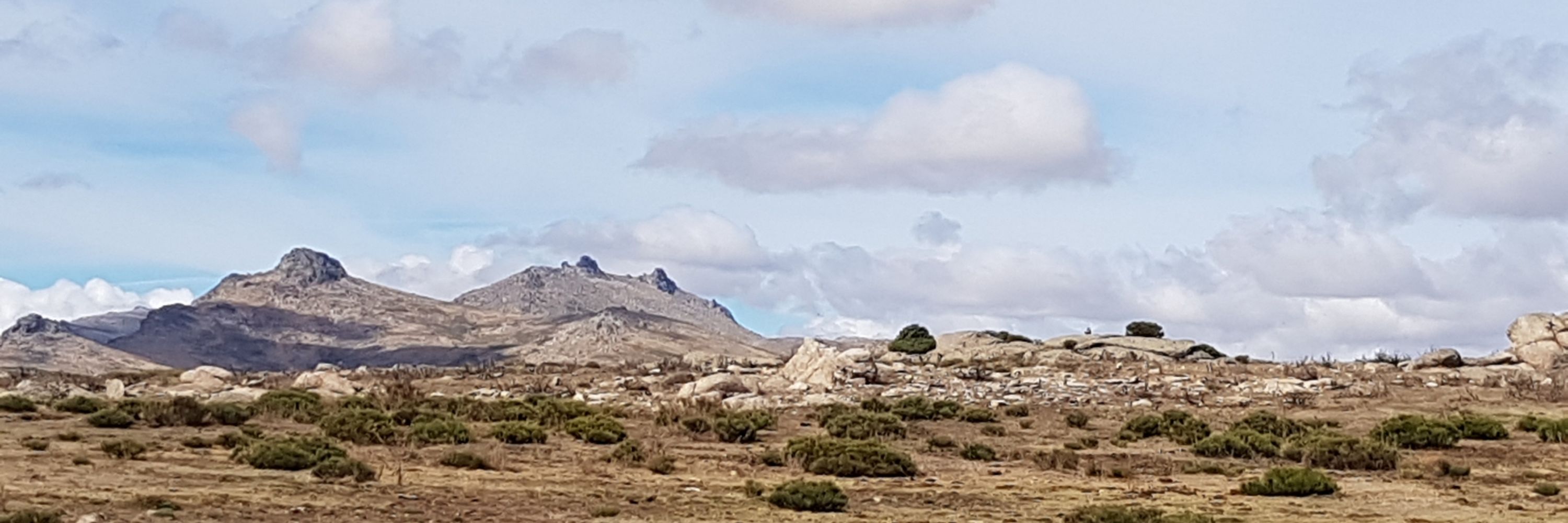 Tressoles