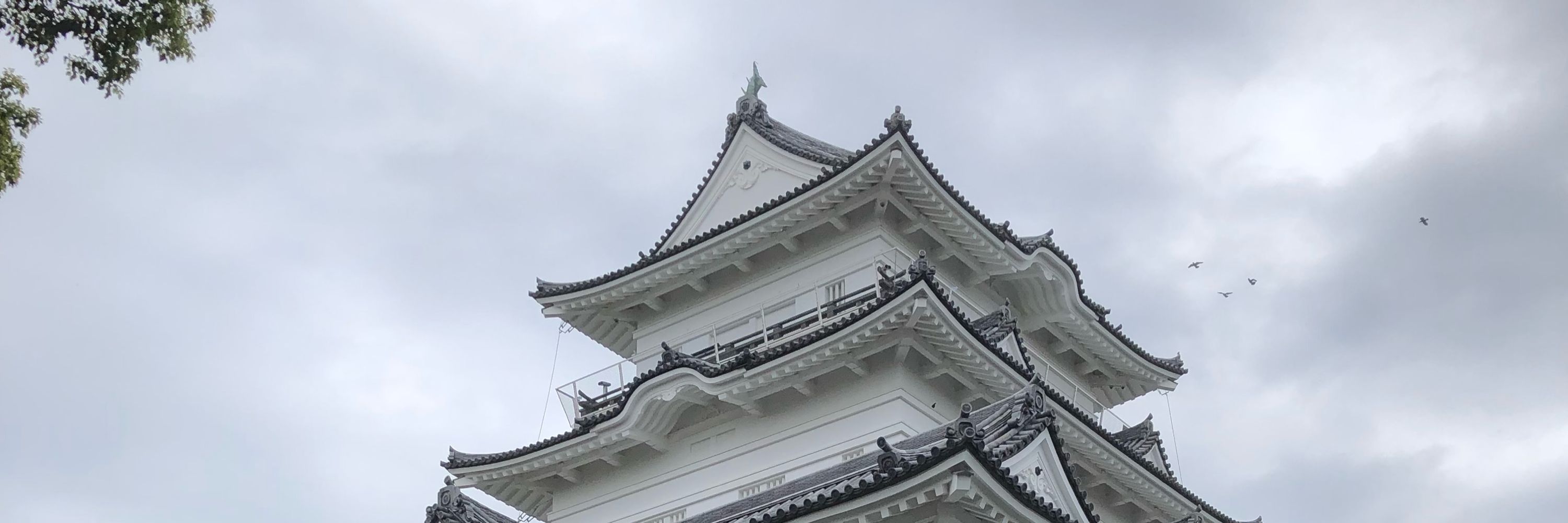 JaZ マリオファン