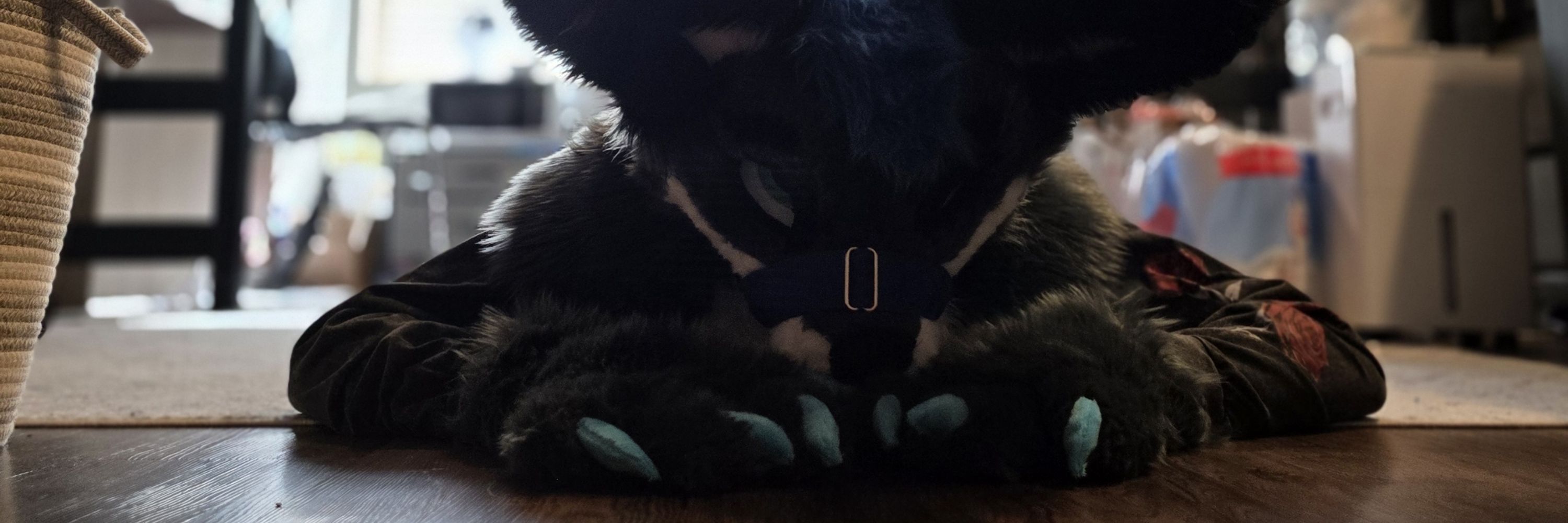 IceyFoxa 🔜 ANE, TFF, FWA