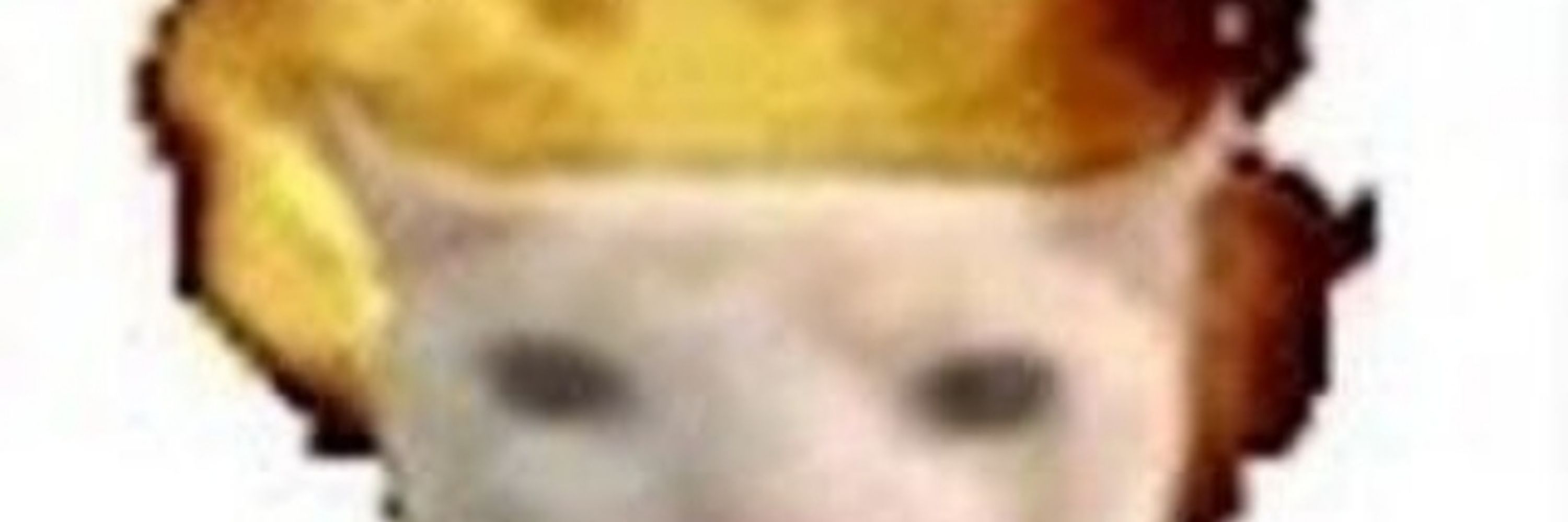 SodySour