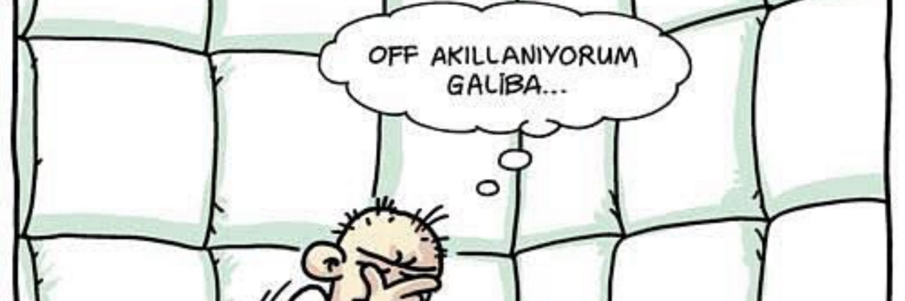 Cengiz Orhan