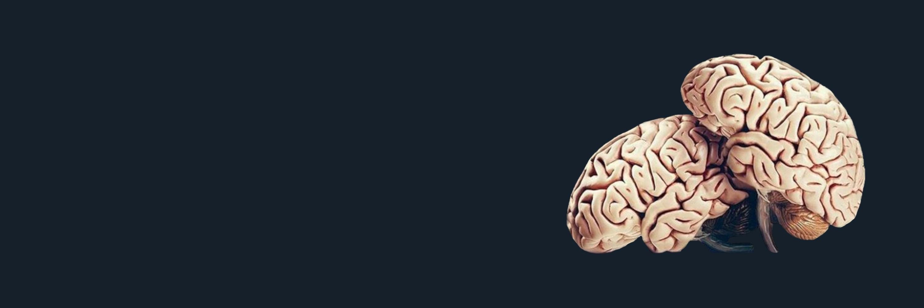 ΛꙆtаɳ🪶