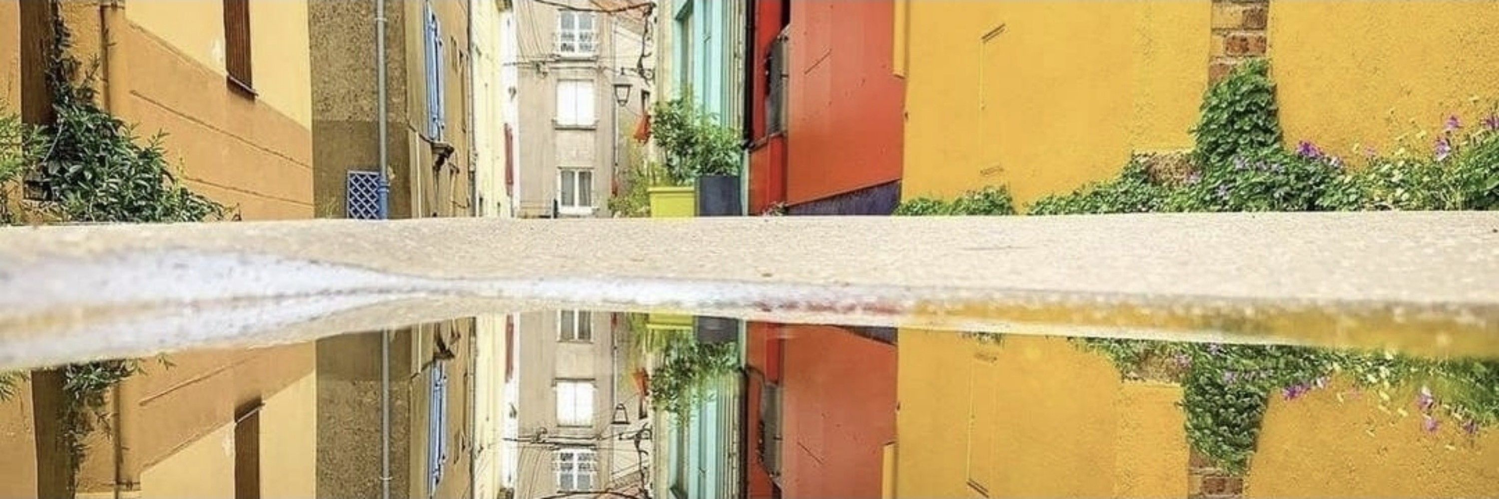 serendipity