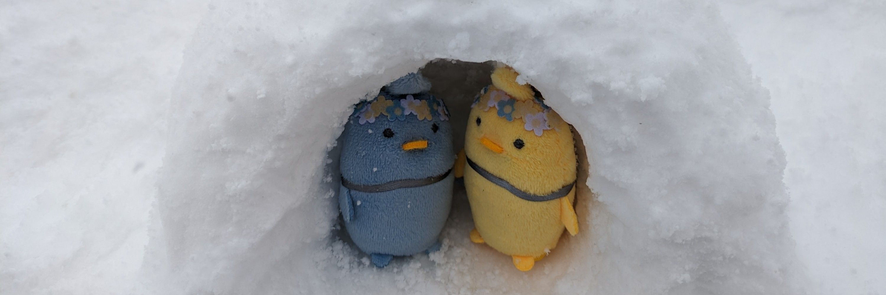 タツキ