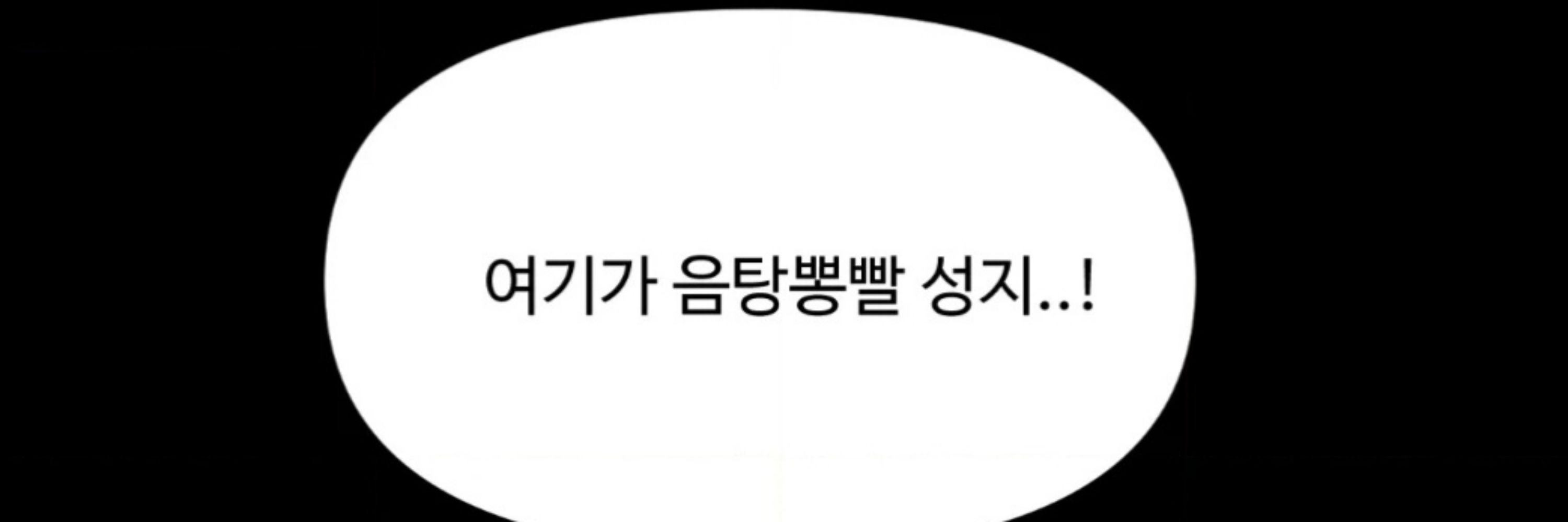 졸피뎀