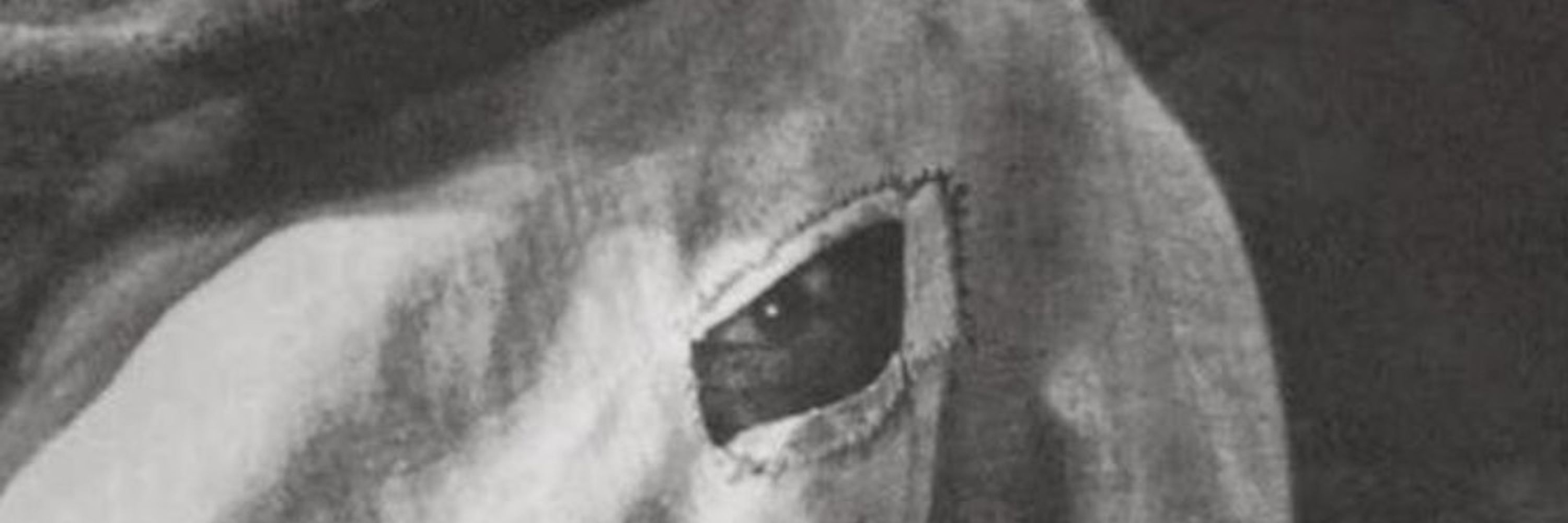 David Villalvazo