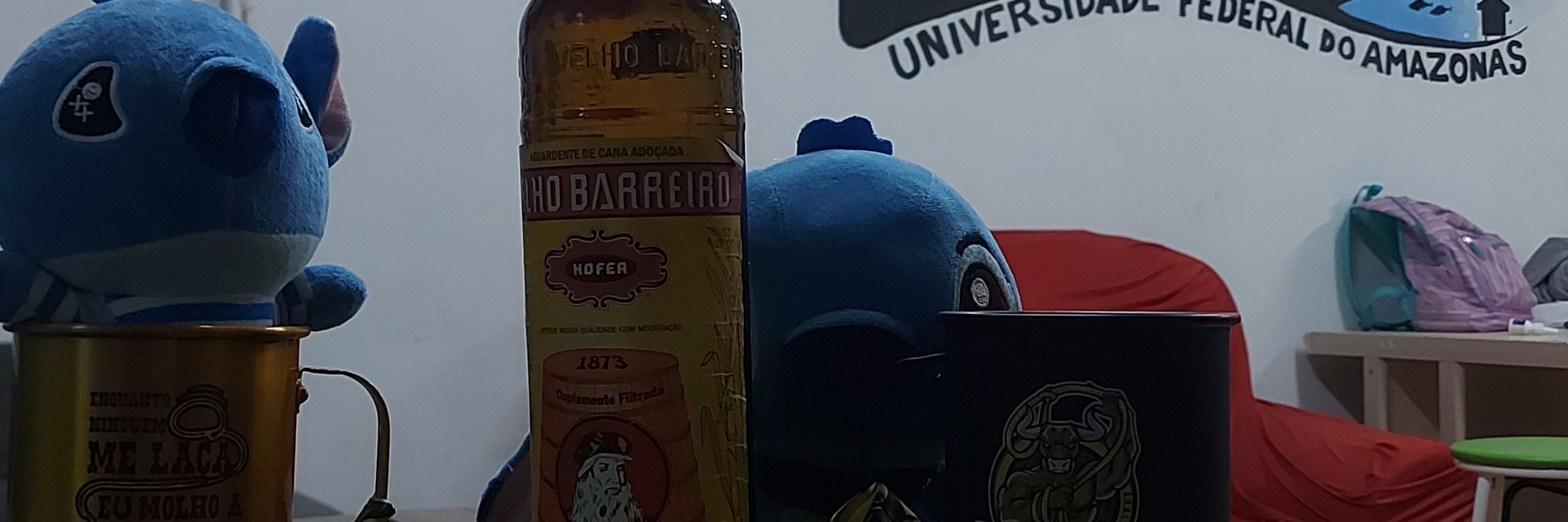 Bianbola