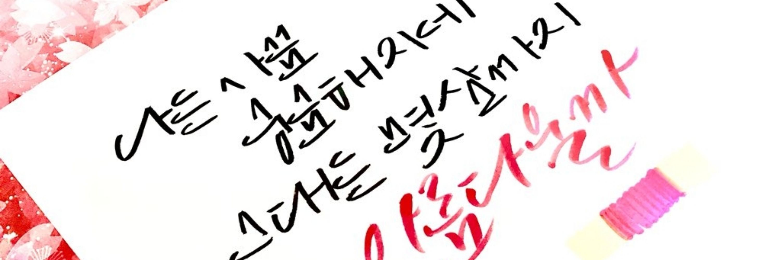 🧡🍮푸딩🍮🧡