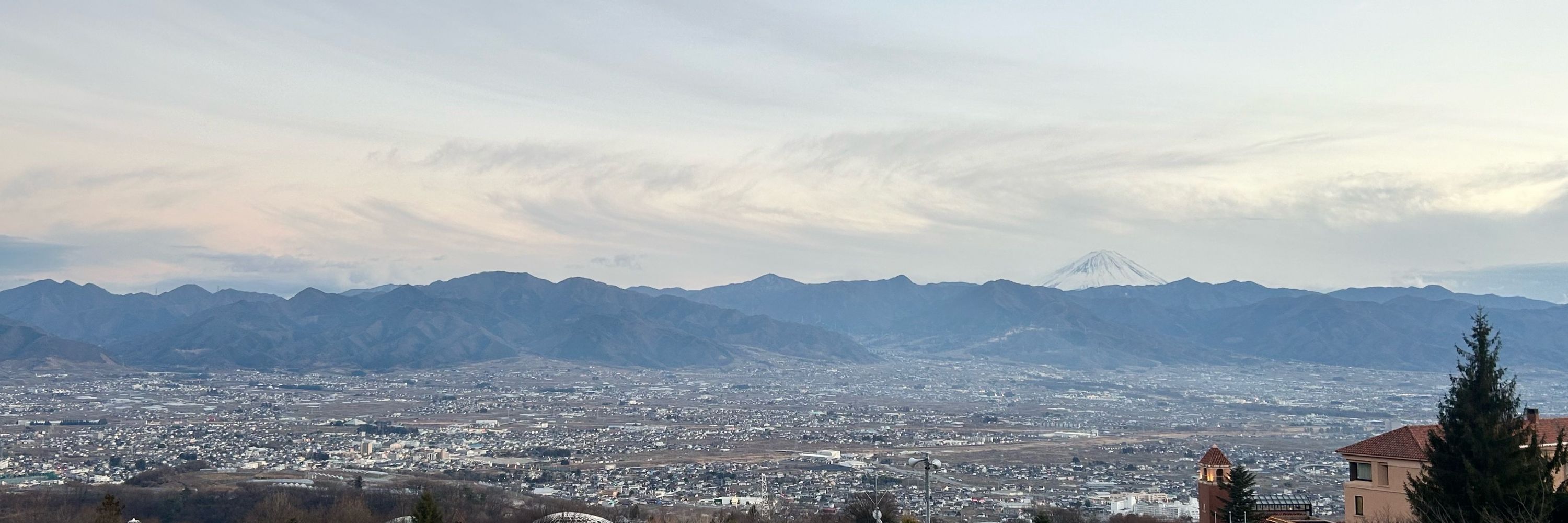 うわの