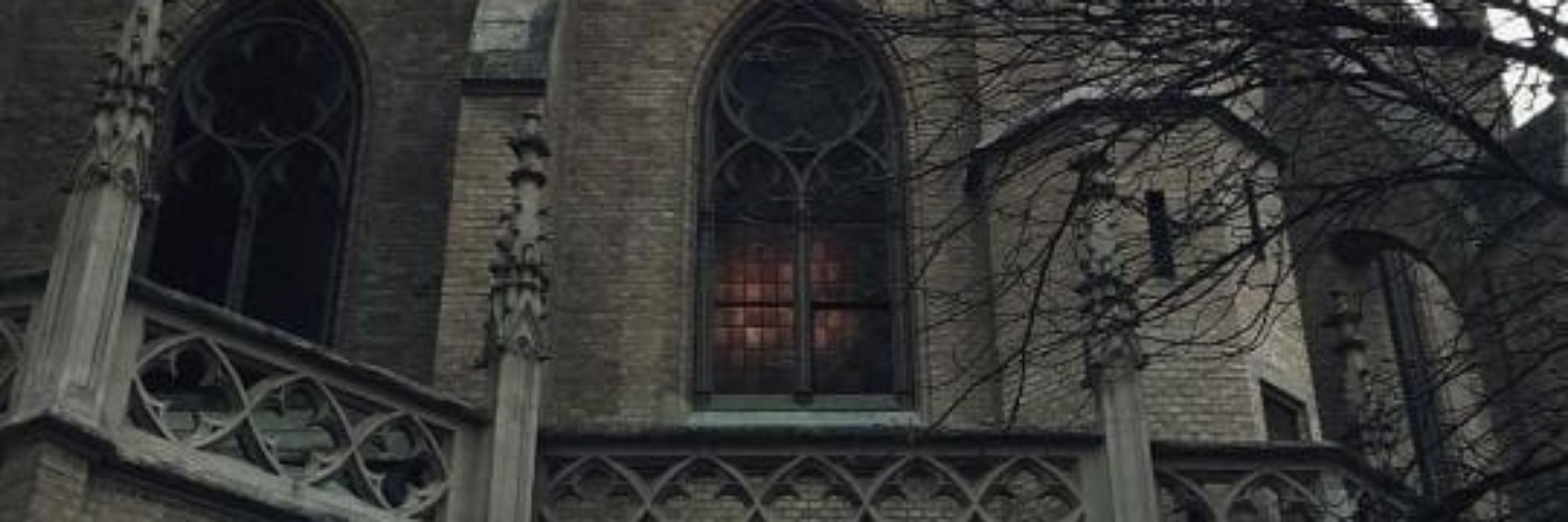via 🦇