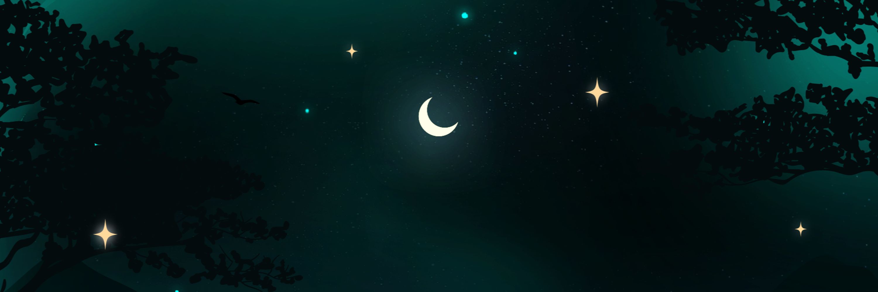 Seiyruna | 🌌🌙✨
